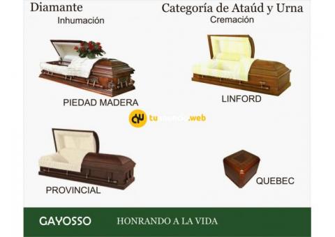 Previsión Funeraria / Asesor Gayosso / Lisabe Espinoza